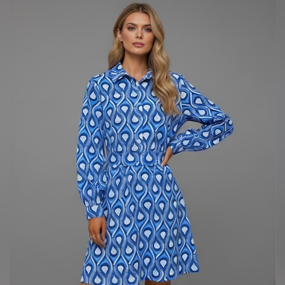 Blue and White Print Shirt Dress - Picture 1 of 9